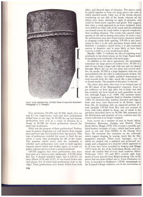 MAPUNGUBWE, AN ARCHAEOZOOLOGICAL INTERPRETATION OF AN IRON AGE COMMUNITY