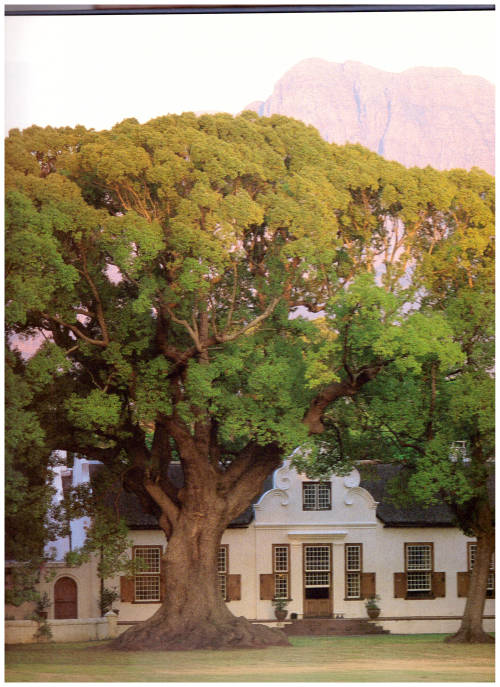 COLONIAL HOUSES OF SOUTH AFRICA