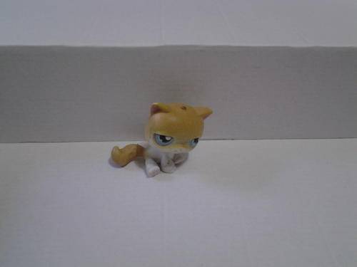 Little pet shop light cat
