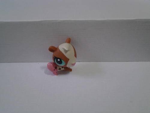 Little Pet shop two colour animal