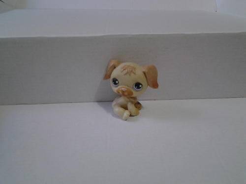 Little Pet shop beige dog