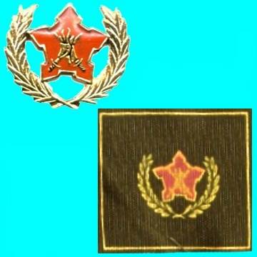 5 Year Voluntary Service Metal and Cloth Badges.