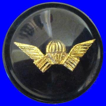 Rhodesian Selous Scouts Badge Encapsulated in a Resin Beer Coaster.