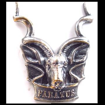 S.W.A. Area Force Cap Badge.