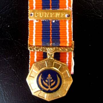 Pro Patria Miniature Medal with Cunene Bar on Ribbon - Mounted.