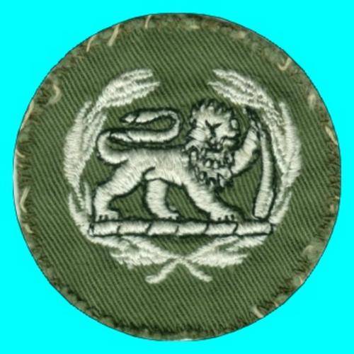 Rhodesian Army Warrent Officer Class ll Rank Badge.