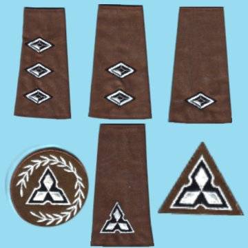 Collection Of S.W.A Territorial Force Rank Insignia.