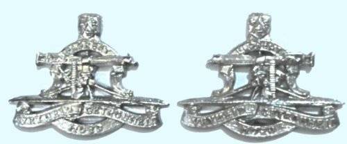 Regiment President Steyn Collar Badge Pair.