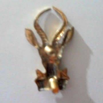 3 Brass Bokkoppies -1st Type With Screw Backing - Beret And Collar Badges