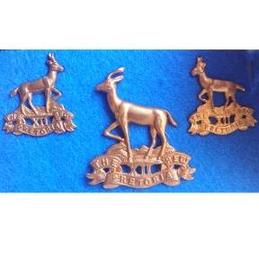Pretoria Regiment Cap and Collar Badges - First World War.