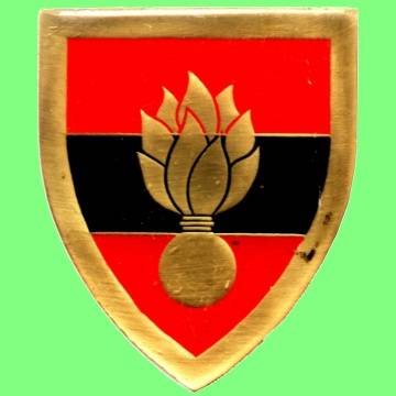 SA Engineer College - Metal Shoulder Flash.
