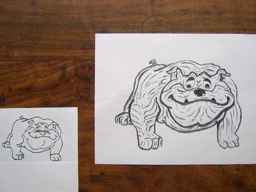 Bull dog was copied and magnified with the Wonder Art & Magnifier product.