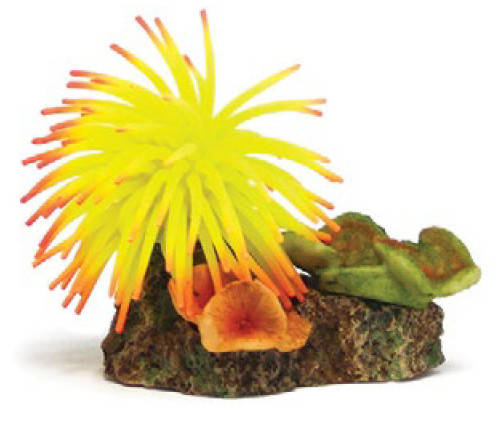 Coral Ornament