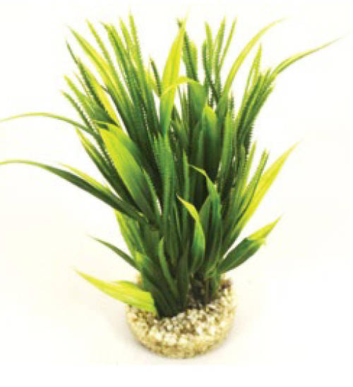 Sydeco Tropical Grass