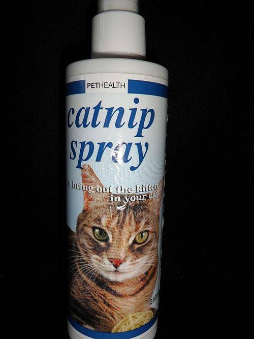 CATNIP SPRAY