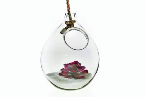 NGWENYA GLASS Terrarium - Handmade