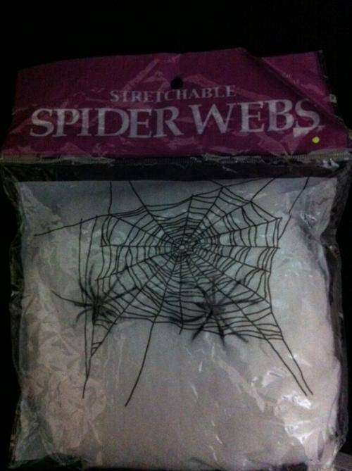Spider web