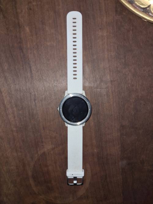 Garmin vivoactive 3 Smartwatch
