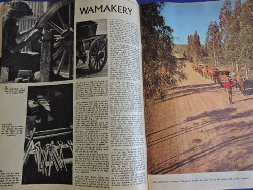 Vintage HUISGENOOT Boere Oorlog Krygsgevangenes Boer War POW and Ox wagon article -True Africana