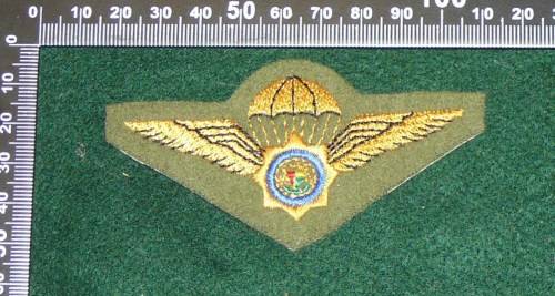 PRE 94 ERA TASK FORCE PARA WING