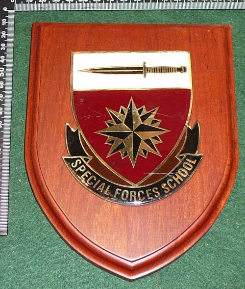 SPECIAL FORCES SCHOOL PLAQUE