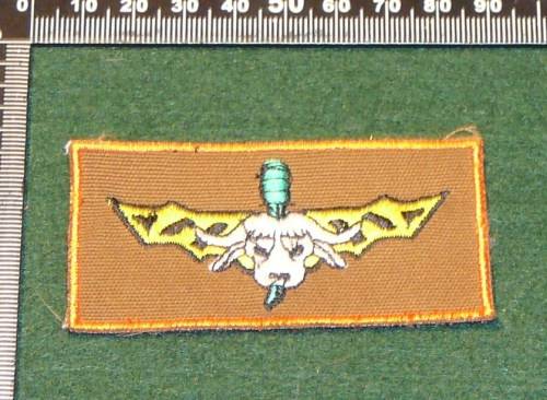32 BATTALION COPY RECCE WING