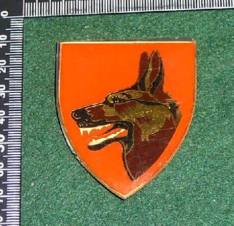 SADF DOG CENTER FLASH