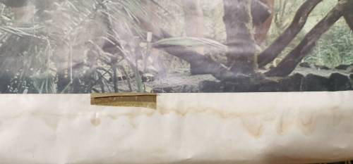 ORIGINAL RHODESIAN TERRORISM STOPS HERE RECRUITMENT POSTER