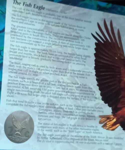 1995 Fish Eagle South African brilliant uncirculated coin set