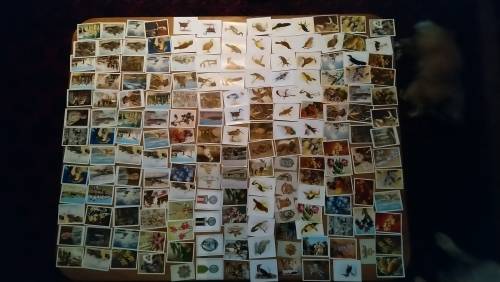 Huge collection of rare vintage cigarette cards High value very collectable!