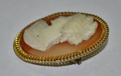 Vintage Gold Tone and Resin Costume Jewellery Cameo Brooch Pin