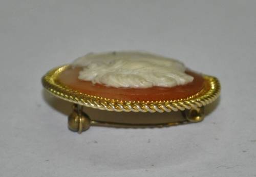 Vintage Gold Tone and Resin Costume Jewellery Cameo Brooch Pin