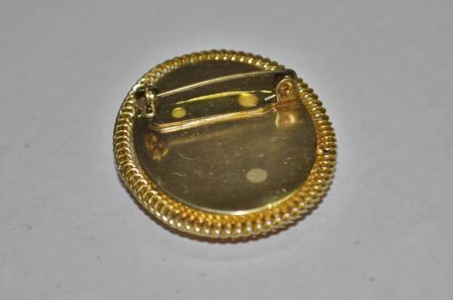 Vintage Gold Tone and Resin Costume Jewellery Cameo Brooch Pin