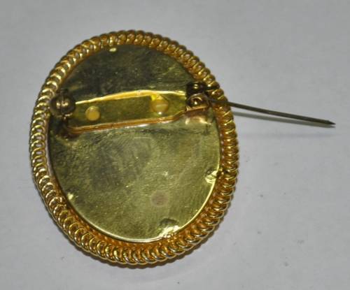 Vintage Gold Tone and Resin Costume Jewellery Cameo Brooch Pin