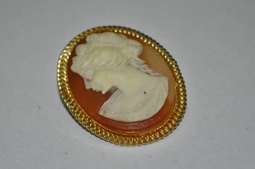 Vintage Gold Tone and Resin Costume Jewellery Cameo Brooch Pin