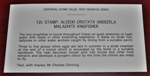 Kingfisher Ciskei 1985 First Day Cover