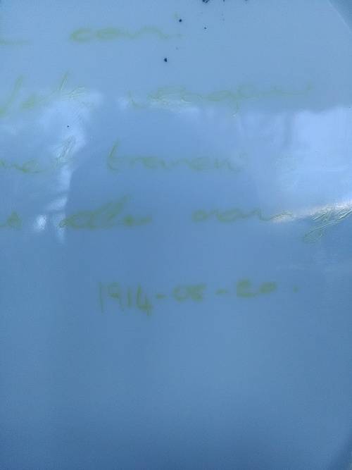 antique Vintage pearl plate