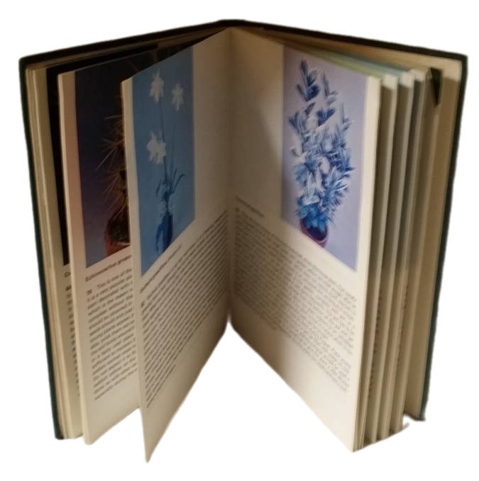 Books - 200 House Plants in Colour