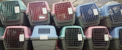 Pet travel carrier BIG. 45x25x26cn. REDUCED TO CLEAR! Please read listing!