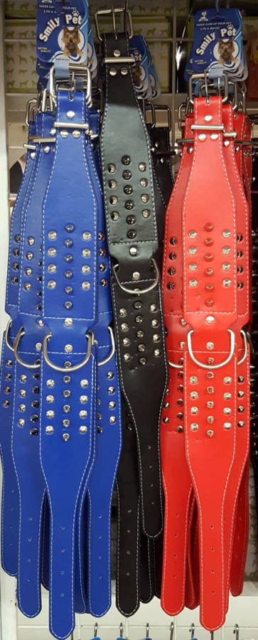 Dog collar with spikes. REDUCED TO CLEAR! See our other clearance auctions!