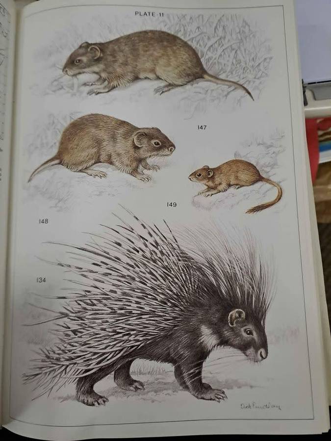 THE MAMMALS OF THE SOUTHERN AFRICAN SUBREGION. By J Skinner & R Smithers