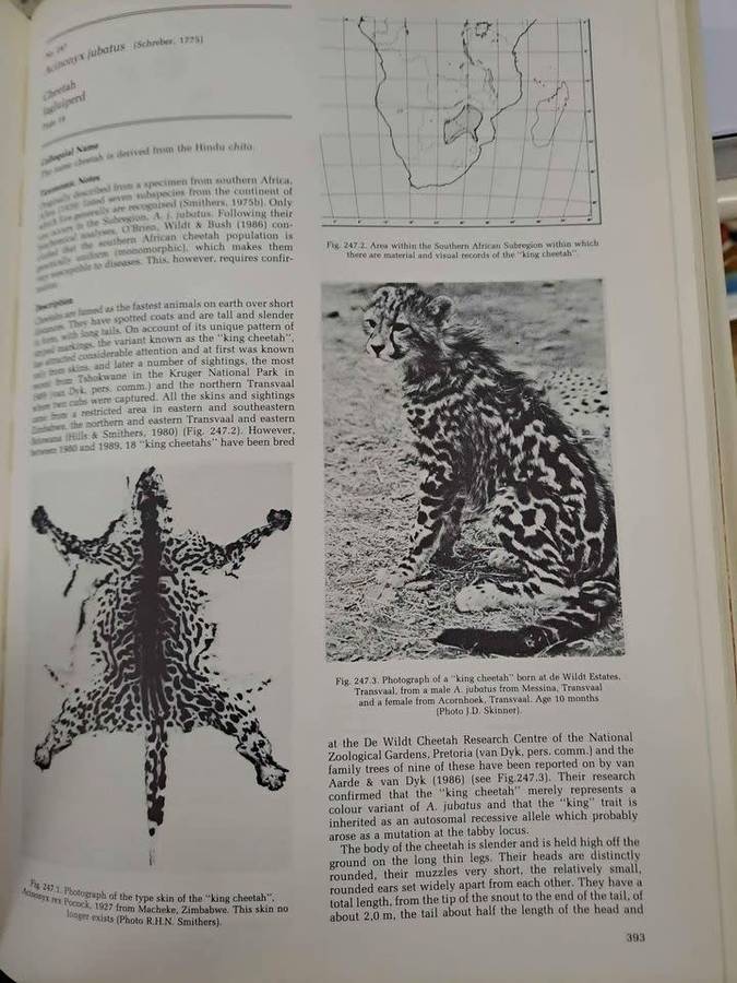 THE MAMMALS OF THE SOUTHERN AFRICAN SUBREGION. By J Skinner & R Smithers