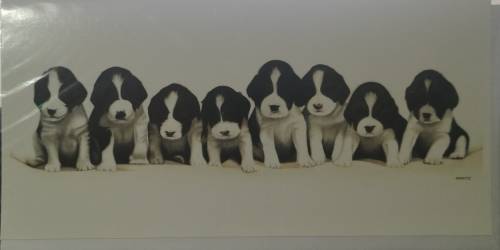 Greeting/Birthday Card + Envelope - Dogs [New]