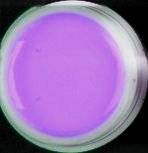 SOLID COLOR UV GEL FOR NAIL ART TIPS 8 ml