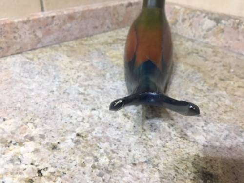 Set of Limited Edition 'Feathers' African Collection Lilac Breasted Roller Birds