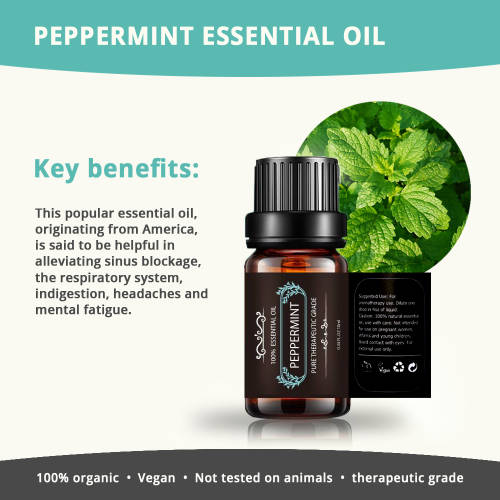 Essential oils - Essential oil set of 6