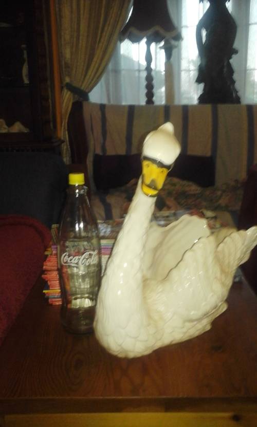 Two lovely Swans