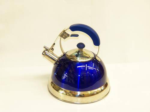 Stainless Steel Stove Kettle - Blue