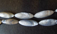 Spring Fever!! Grey Shell Ovals, 30mm x 11mm  - Pack of 5.