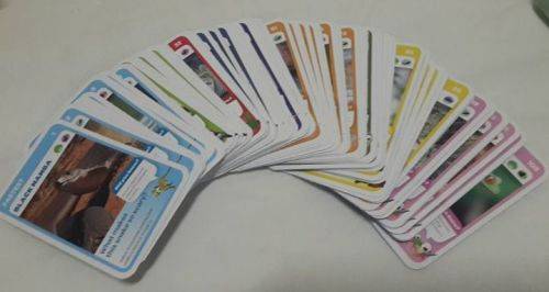 Pick and Pay Super Animal cards - full pack!